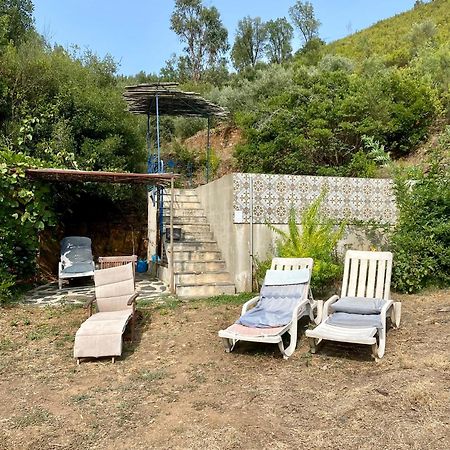 Unique Tiny House With Natural Building Techniques Figueiro Dos Vinhos Luaran gambar