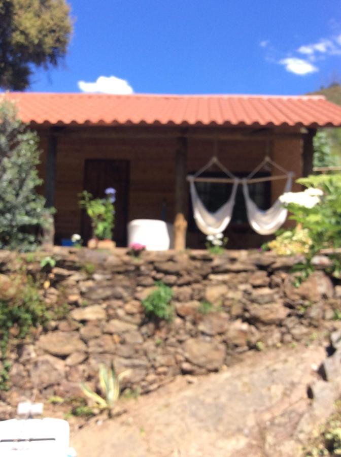 Unique Tiny House With Natural Building Techniques Figueiro Dos Vinhos Luaran gambar