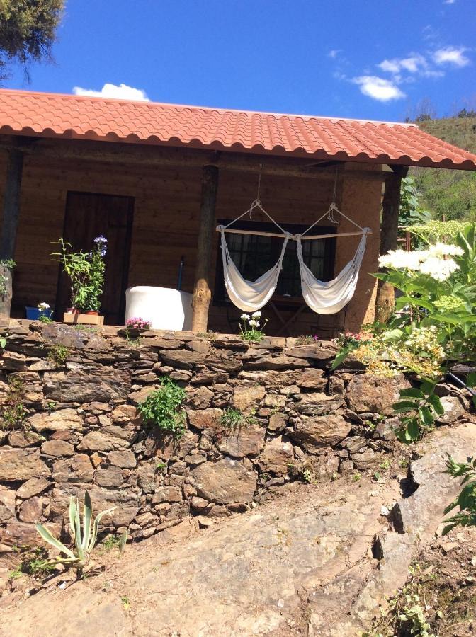 Unique Tiny House With Natural Building Techniques Figueiro Dos Vinhos Luaran gambar