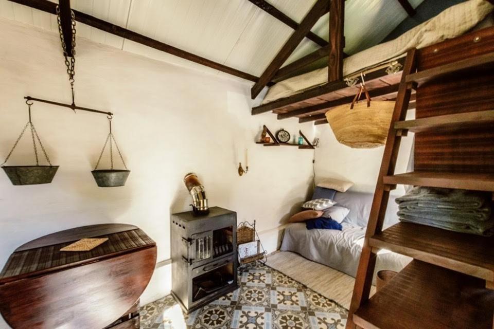 Unique Tiny House With Natural Building Techniques Figueiro Dos Vinhos Luaran gambar
