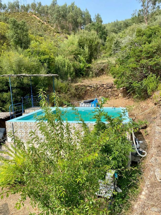 Unique Tiny House With Natural Building Techniques Figueiro Dos Vinhos Luaran gambar