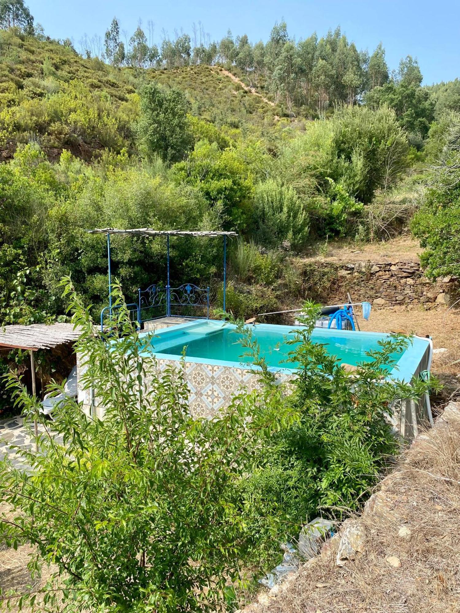 Unique Tiny House With Natural Building Techniques Figueiro Dos Vinhos Luaran gambar